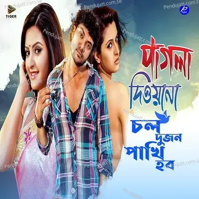 Chol Dujon Pakhi Hobo - Novel album cover 