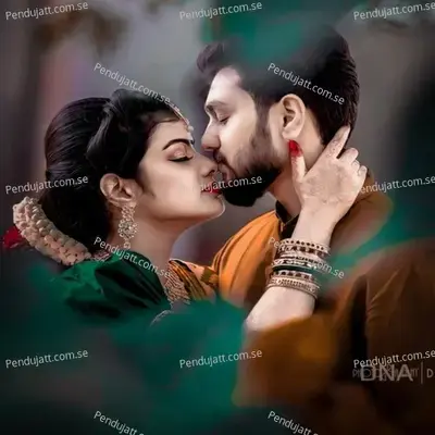 Chol Gori Re - Raj Meena album cover 
