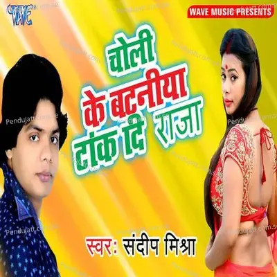 Choli Ke Bataniya Tank Di Raja - Vikash Yadav cover album