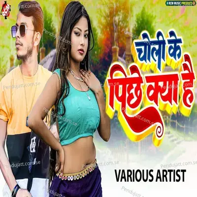 Hoi Hau Wala Kaam - Dharmendra Patel album cover 