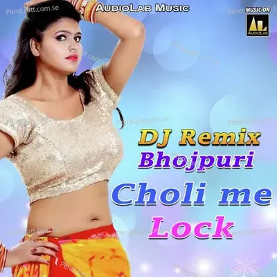 Garmi Kar Bardas Rani Dj Mix - Pramod Premi album cover 