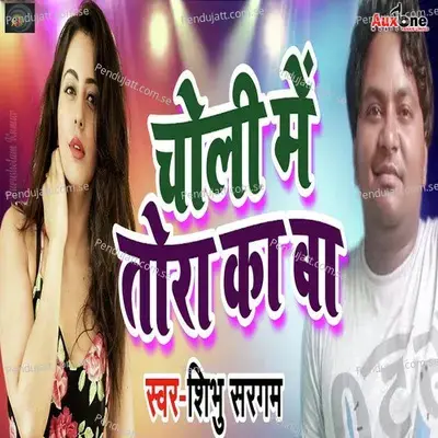 Choli Me Tora Ka Ba - Shibu Sargam album cover 