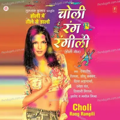 Holi Mein Hole Se Daalo - Shivani Nigam album cover 