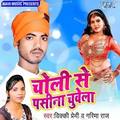 Ratiya Dekh Lele Ba Chachi - Vicky Premi Garima Raj album cover 