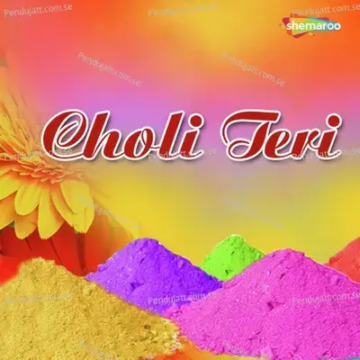 Choli Teri - Various Artists cover album