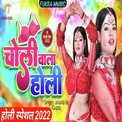 Choli Wala Holi - Anand Raj Gupta album cover 