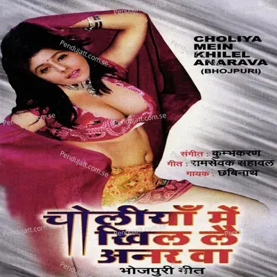 Choliyan Mein Khil Lai Anarava - Chhabinath cover album