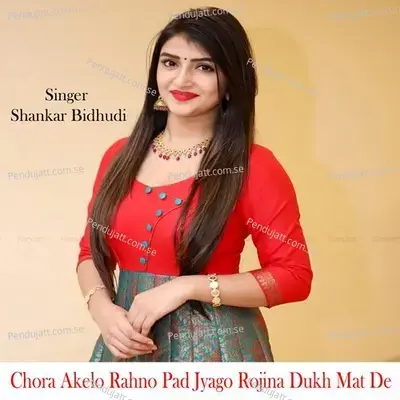 Chora Akelo Rahno Pad Jyago Rojina Dukh Mat De - Shankar Bidhudi album cover 