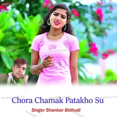 Chora Chamak Patakho Su - Shankar Bidhudi album cover 