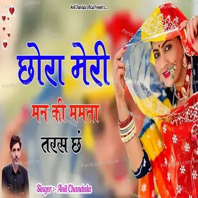 Chora Meri Man Ki Mamta Taras Che - Anil Chandela album cover 