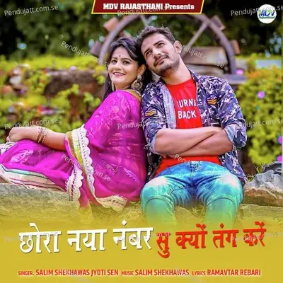 Chora Naya Number Su Kyo Tang Kare - Salim Shekhawas album cover 