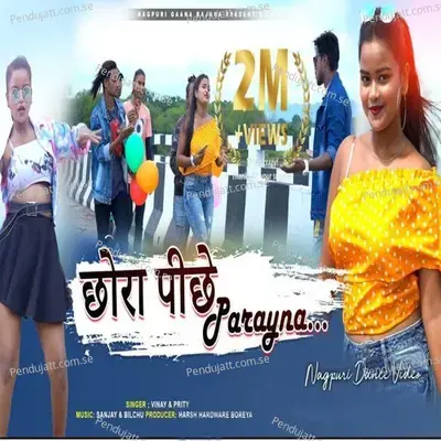 Chora Piche Parayna - Vijay Kumar album cover 