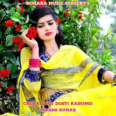 Chora Tosu Dosti Karungi - Lokesh Kumar album cover 