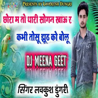 Chora Tosu Juth Ku Bolu - Lovekush Dungri album cover 