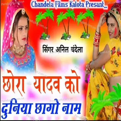 Chora Yadav Ko Duniya Chago Naam - Anil Chandela album cover 