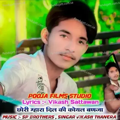 Chore Mhara Dil Ki Koyal Ban Ja - Vikash Thanera album cover 