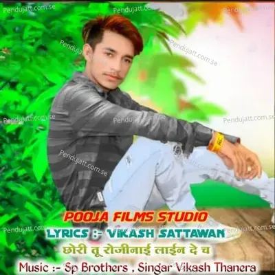 Chore Tu Rojina Hi Lain D Chae - Vikash Thanera album cover 