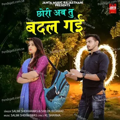 Chori Ab Tu Badal Gyi - Salim Shekhawas album cover 