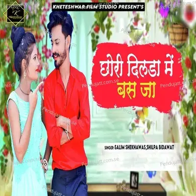 Chori Dilada Me Bas Ja - Salim Shekhawas