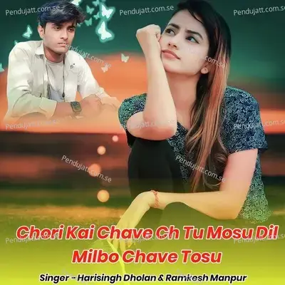 Chori Kai Chave Ch Tu Mosu Dil Milbo Chave Tosu - Harisingh dholan album cover 