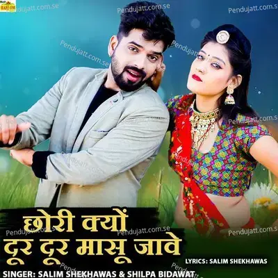 Chori Kyon Door Door Masu Jave - Salim Shekhawas album cover 