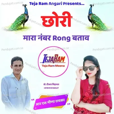 Chori Mara Number Rong Batav - R S MEENA RAYSAR album cover 