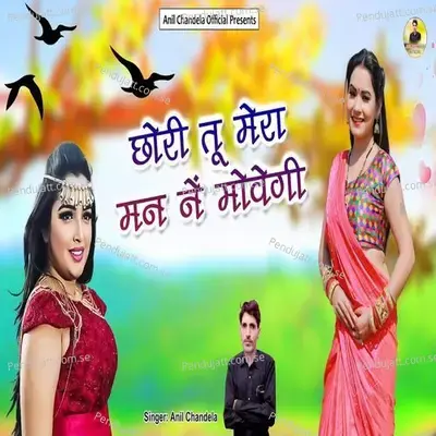 Chori Mera Man N Movgi - Anil Chandela album cover 