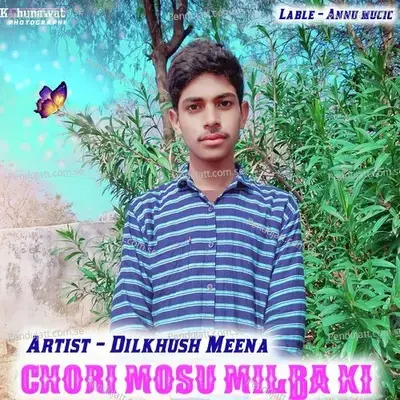 Chori Mosu Milba Ki - Dilkhush Meena Ghunawat album cover 