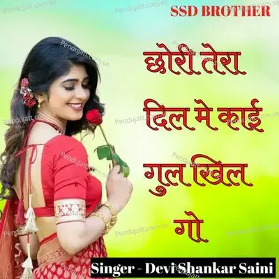 Chori Tere Dil Me Kai Gul Khilgo - Devi Shankar Saini album cover 