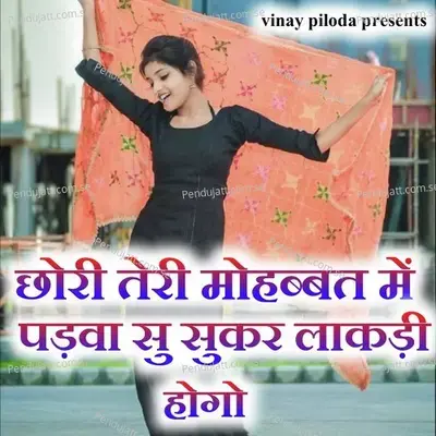 Chori Teri Mohabbat Me Padva Su Sukhar Lakdi Hogo - Vinay Piloda album cover 