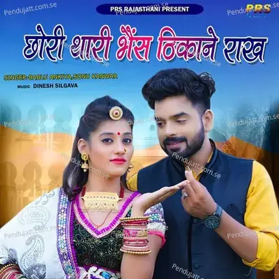 Chori Thari Bhais Thikane Rakh - Bablu Ankiya album cover 