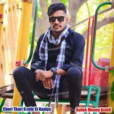 Chori Thari Nagin Si Kaniya - Ashok Meena Astoli album cover 