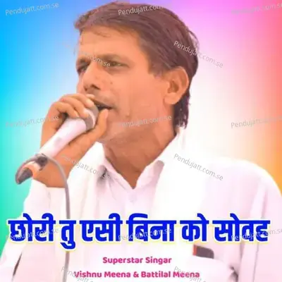 Chori Tu Ac Bina Ko Sovh - Vishnu Meena album cover 