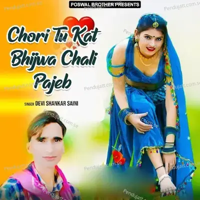 Chori Tu Kat Bhijwa Chali Pajeb - Devi Shankar Saini