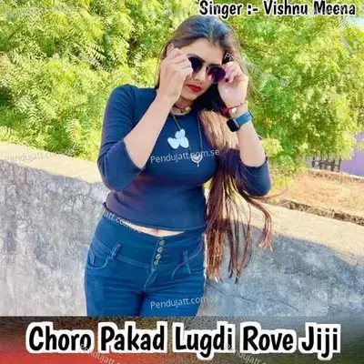 Choro Pakad Lugdi Rove Jiji - Vishnu Meena album cover 