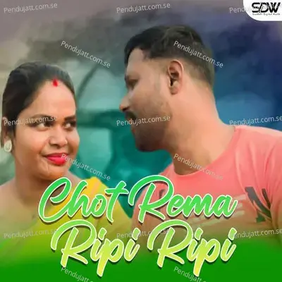 Chot Rema Ripi Ripi - Mangal Hansda album cover 