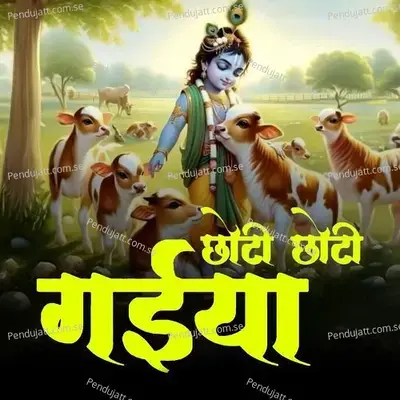 Choti Choti Gaiyaa - Pranali album cover 