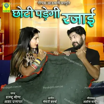 Choti Padgi Rajai - Sambhu Meena album cover 