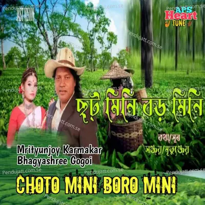 Choto Mini Boro Mini - Mrityunjoy Karmakar album cover 