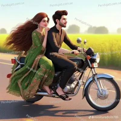 Choudhar Puri Jaat Ki - Raj Meena album cover 