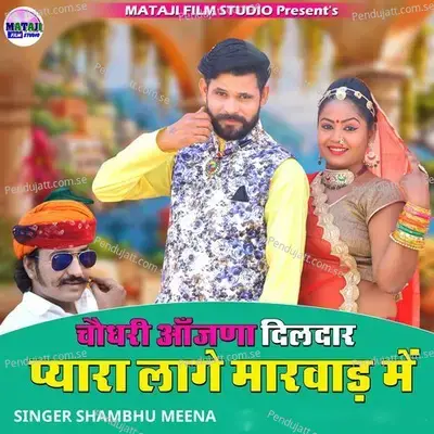 Choudhary Ajana Dildar Pyara Lage Marwad Me - Shambhu Meena album cover 