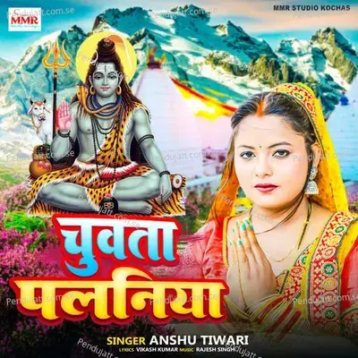 Chuata Palaniya - Anshu Tiwari album cover 