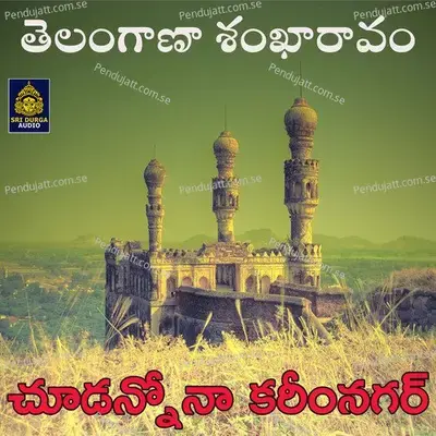 Chudanno Na Karimnagar - Anil Kumar album cover 