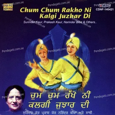 Bani De Nal Pyar Karo - Mohini Narula album cover 