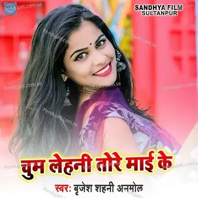 Chum Leni Tora Mai Ke - Brijesh Shahani Anmol album cover 