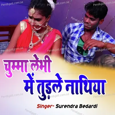 Chumma Lebhi Me Tudle Nathiya - Surendra Bedardi album cover 