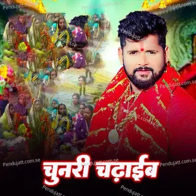 Hanswahini Vina Wadini - Vikash Kaushal album cover 