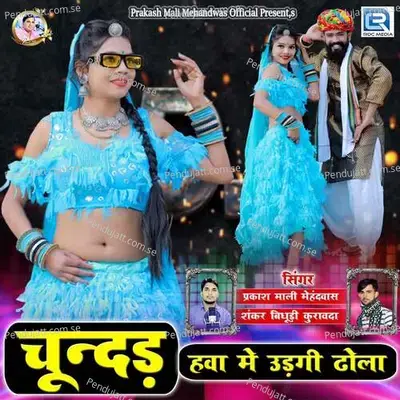 Chundad Hava Me Udagi Dhola - Prakashmali Mehandwas album cover 