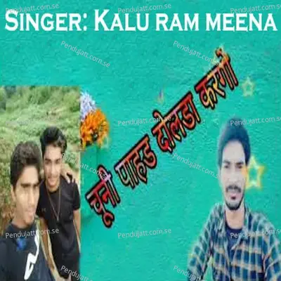 Chuni Pahad Dolda Kargo - Kalu Ram Meena album cover 