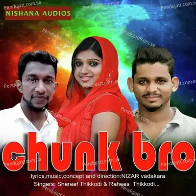 Nee Entedhale Nan Nintedhale - Shafi Kollam album cover 